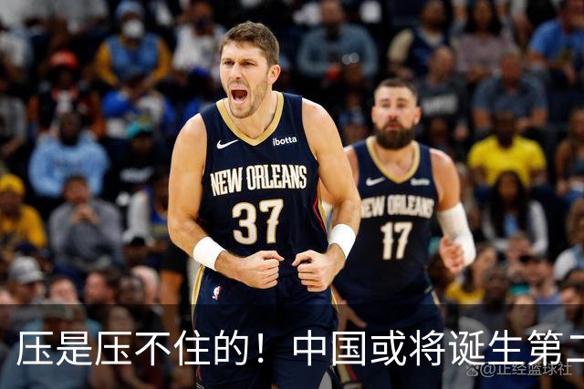 压是压不住的！中国或将诞生第二个华为
